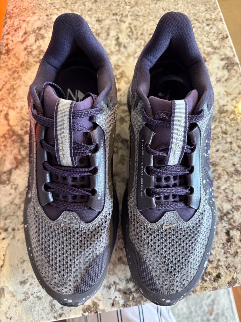 Women’s Nike Pegasus Premium - Picture 6 of 7